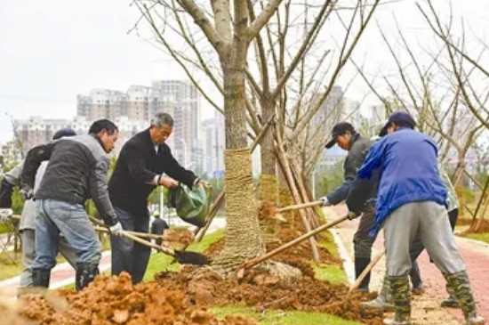 零下几度就不能栽树了