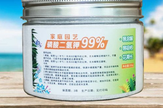 宝莲灯怎么养