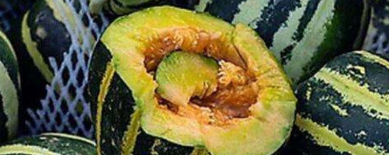 冰糖子甜瓜品种介绍