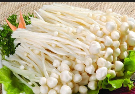 菌菇食用广泛,我们都在吃哪些菌?这五大菌菇霸占了餐桌