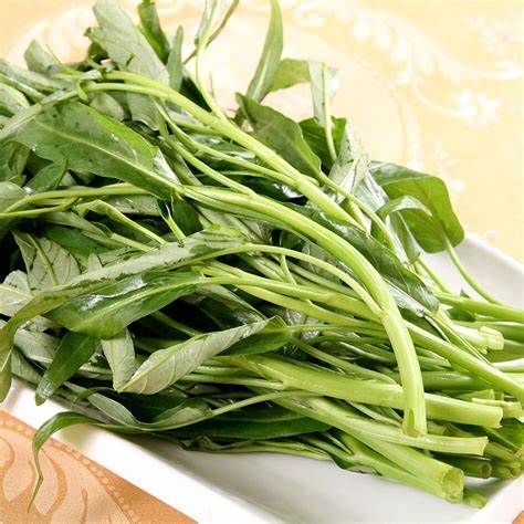 空心菜是蔬菜的“毒中之王”?