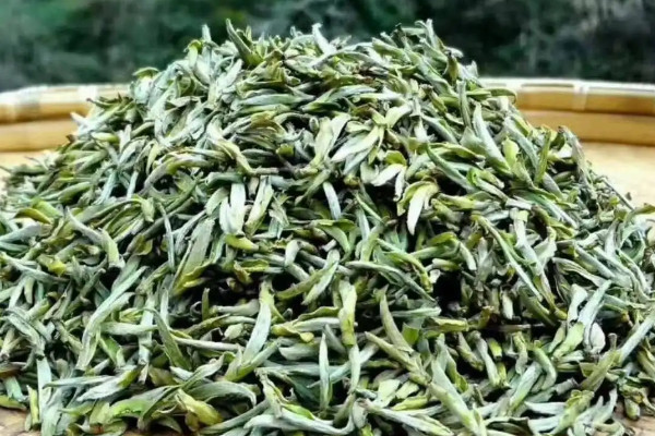 明前茶什么意思，明前茶说的是什么茶
