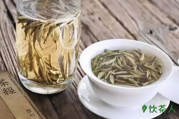 白茶属于绿茶吗，白茶属于什么性质的茶