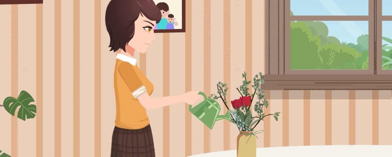 花瓶里的水多久换一次 花瓶里的水用哪种水比较好