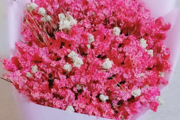 满天星的花语和寓意,象征了什么