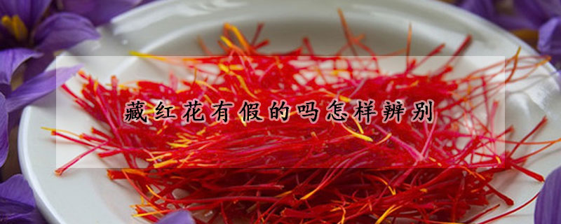 藏红花有假的吗怎样辨别