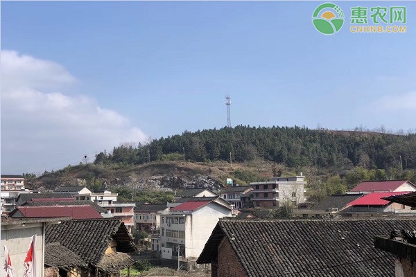 城镇户口可以继承农村宅基地吗？2021农村宅基地继承新规定
