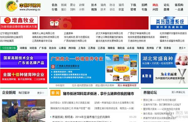 中国养猪网