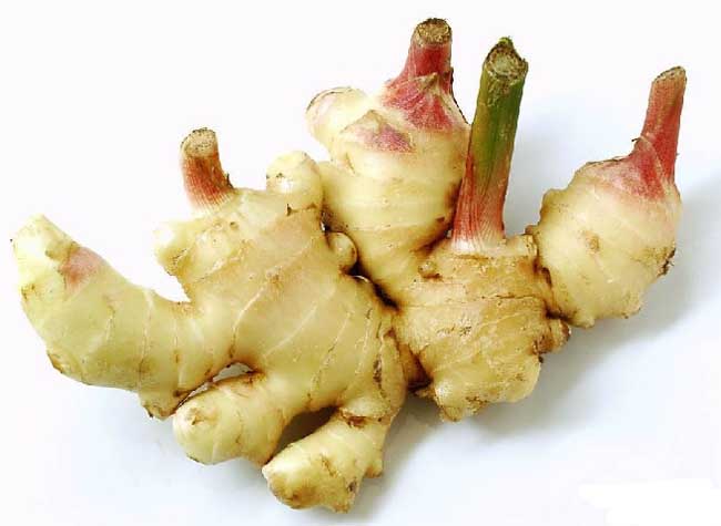 生姜发芽能吃吗