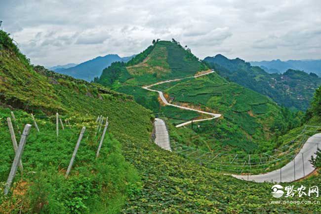 山地农业