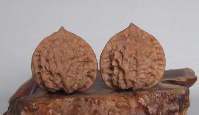 灯笼狮子头