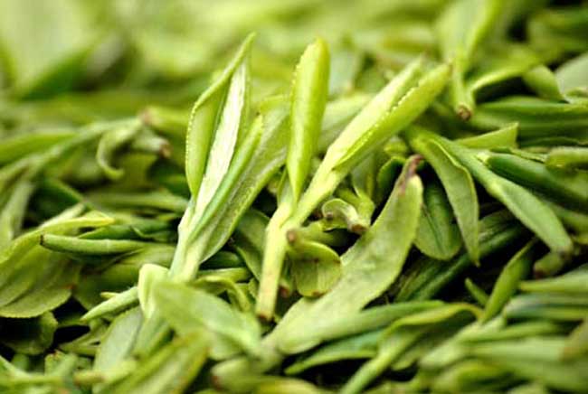 龙井茶产地