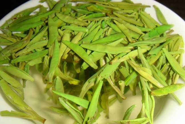 兰馨雀舌价格行情