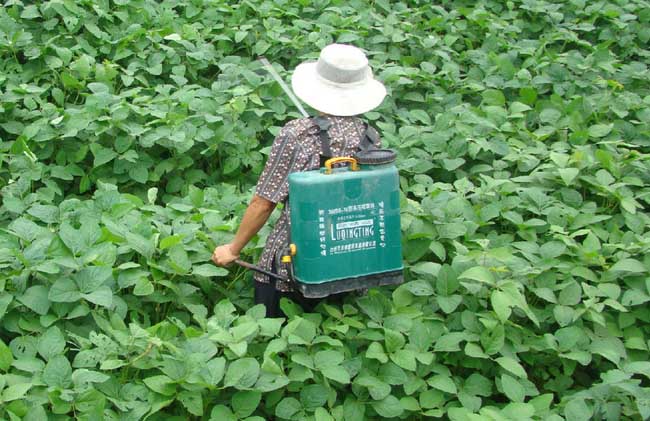 夏天打农药