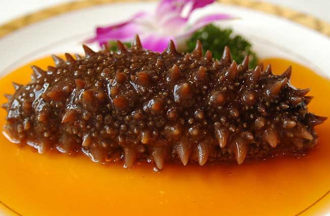 海参的食用方法