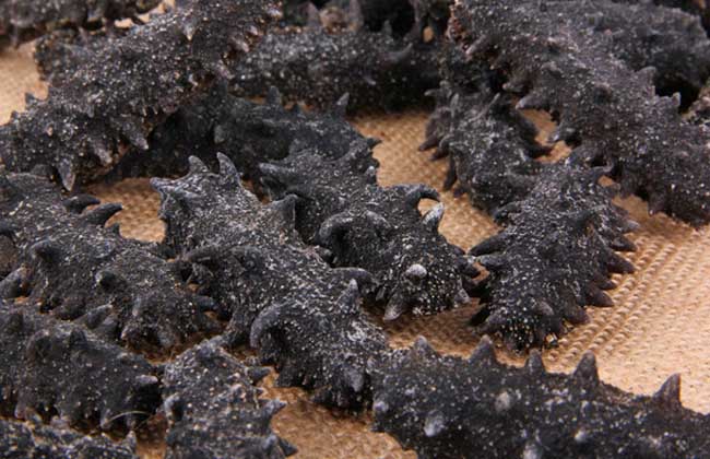 海参的食用方法