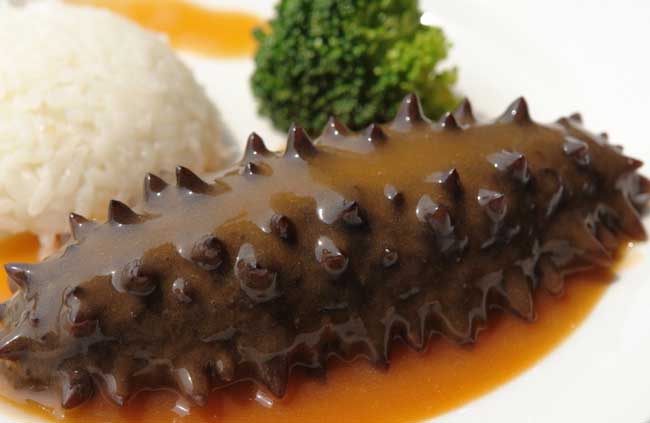 海参的食用方法