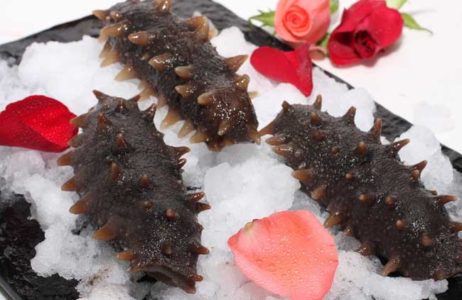 海参的食用方法