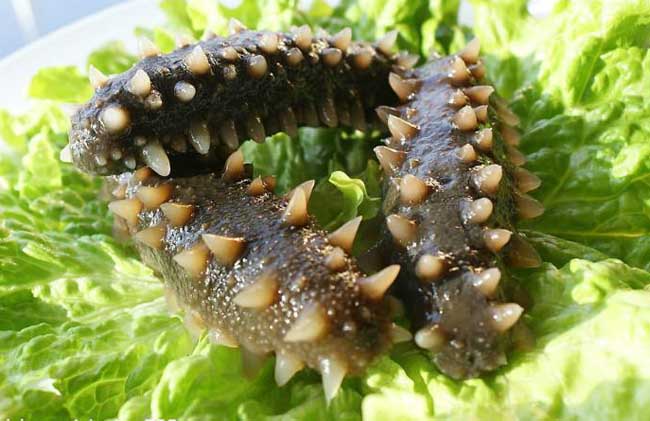 海参的食用方法