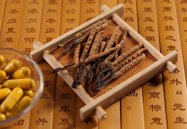 冬虫夏草价格多少钱一克？