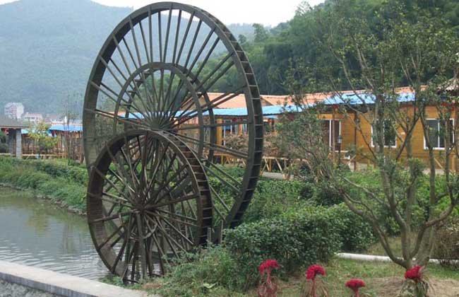 农业观光园地被植物的规划设计