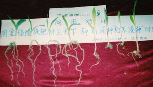 金福隆植物生态营养剂（液肥）