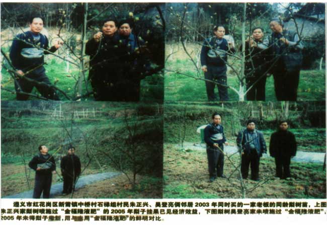 金福隆植物生态营养剂（液肥）