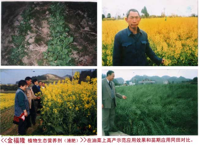 金福隆植物生态营养剂（液肥）