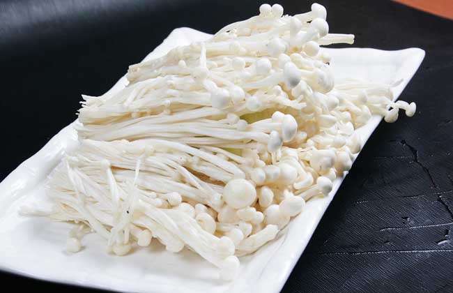 金针菇的品种