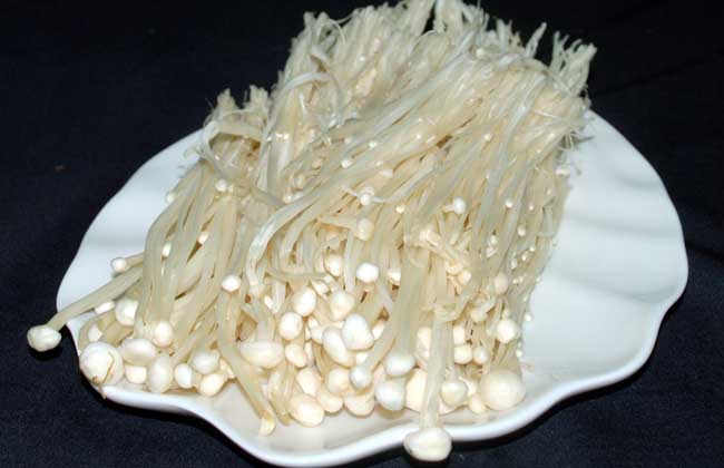 金针菇能生吃吗？