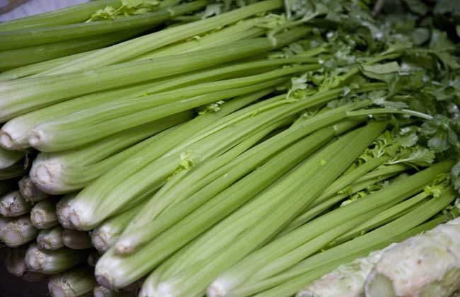 芹菜能减肥吗？
