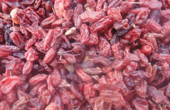 山萸肉的价格及鉴别方法