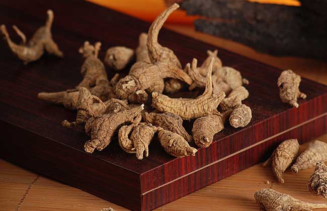 花旗参和西洋参的区别