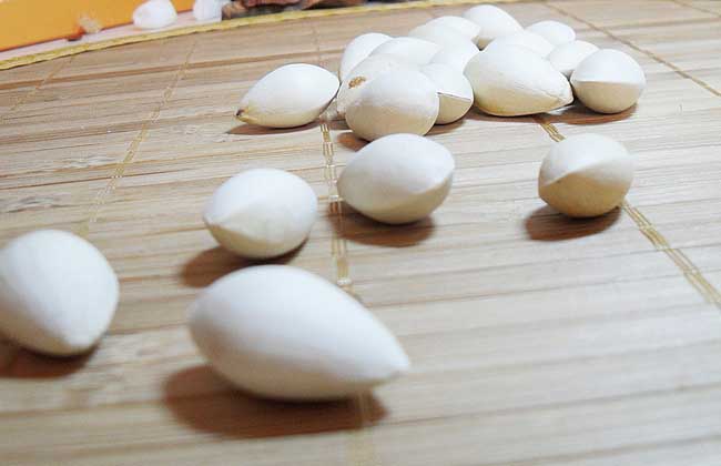 白果