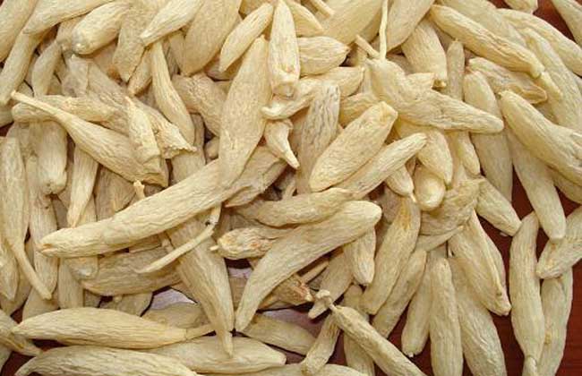 麦冬价格多少钱一克