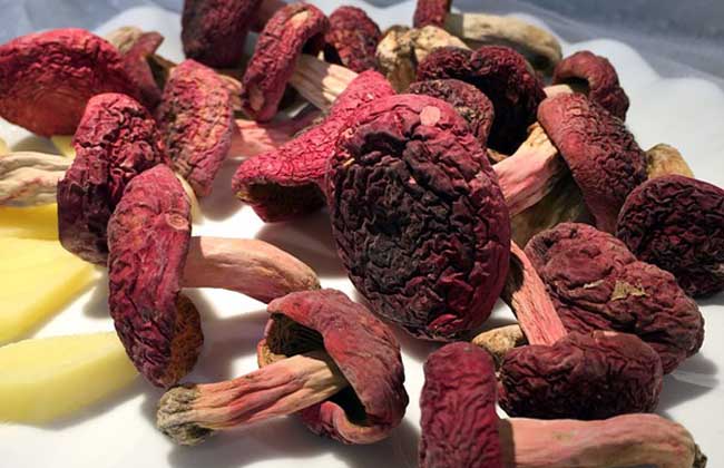红菇的市场价格