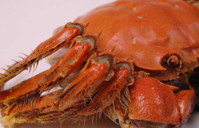 大闸蟹死了还能吃吗