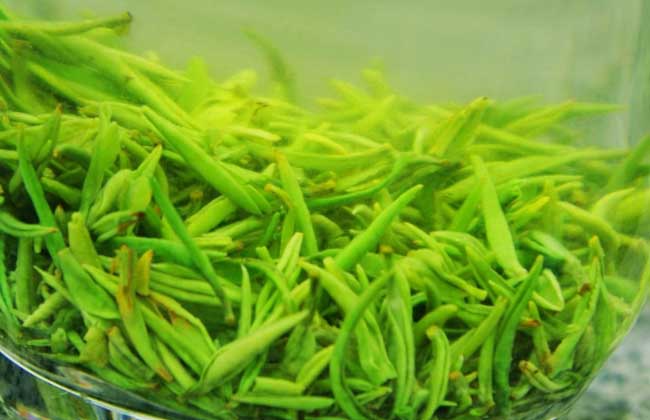 信阳毛尖价格多少钱