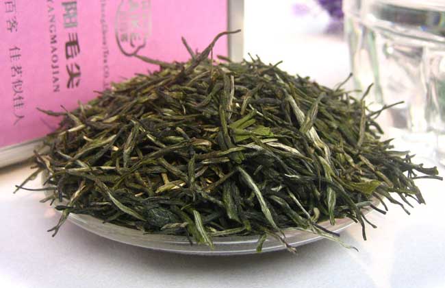 信阳毛尖哪个牌子好？