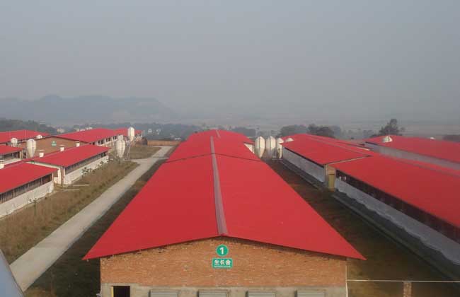 养猪场建设选址