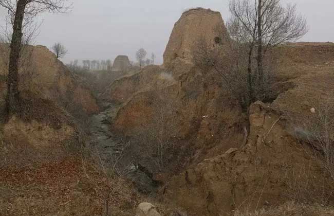 黑钙土