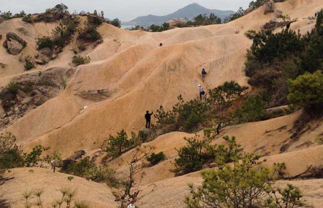 荒漠土