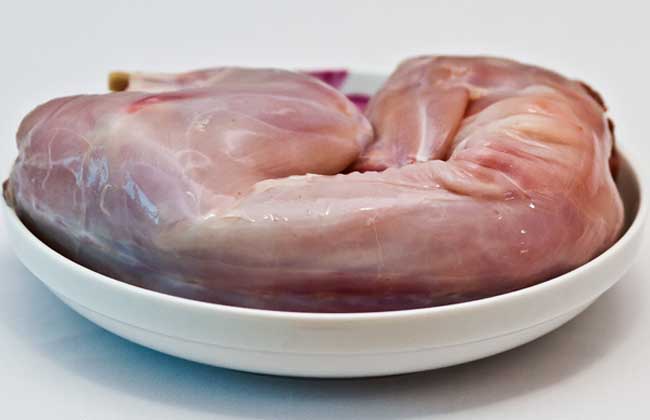 兔肉不能和什么一起吃