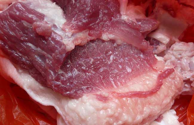 母猪肉