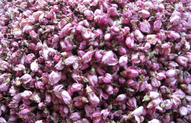 桃花茶
