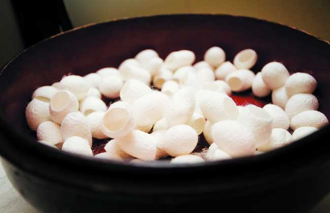 蚕茧怎么处理
