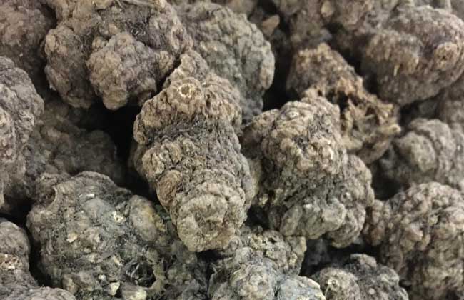 川芎的功效与作用