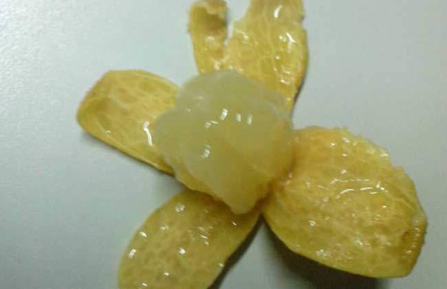 黄皮