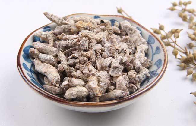 僵蚕的功效与作用