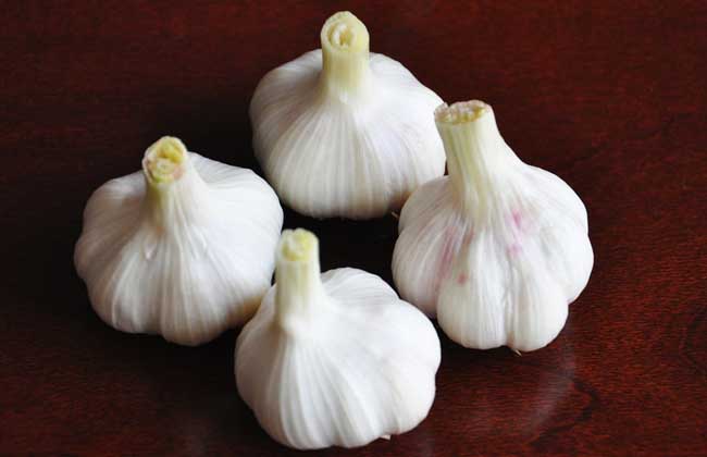 降血糖的蔬菜